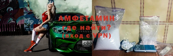 стаф Алзамай