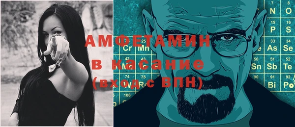 стаф Алзамай
