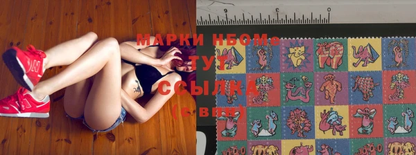 стаф Алзамай