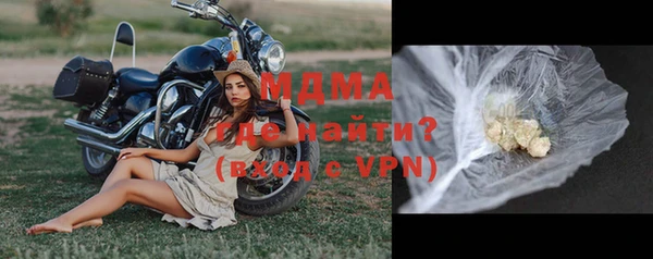 стаф Алзамай