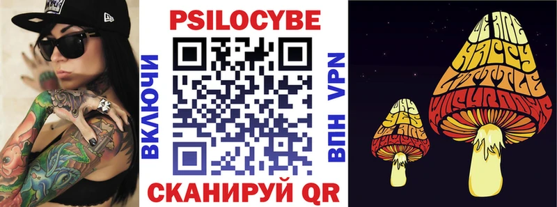 Галлюциногенные грибы Psilocybe  Приозерск 